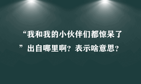 “我和我的小伙伴们都惊呆了”出自哪里啊？表示啥意思？