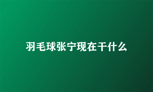 羽毛球张宁现在干什么