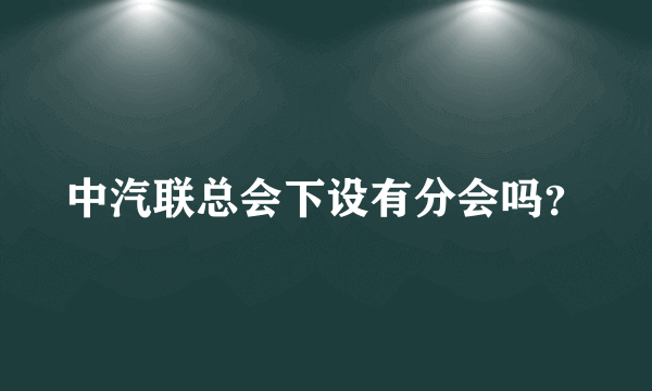 中汽联总会下设有分会吗？