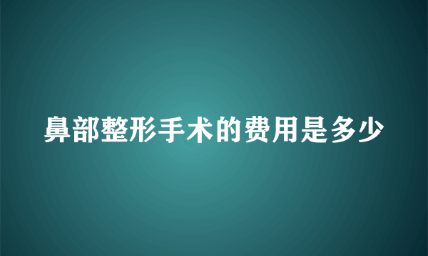 鼻部整形手术的费用是多少