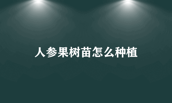 人参果树苗怎么种植