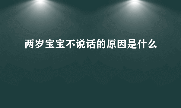 两岁宝宝不说话的原因是什么