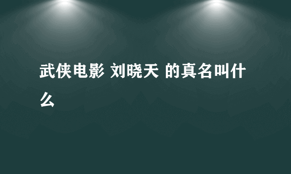 武侠电影 刘晓天 的真名叫什么