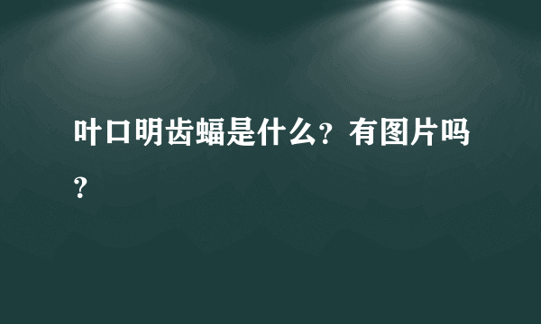 叶口明齿蝠是什么？有图片吗？