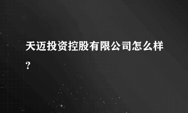 天迈投资控股有限公司怎么样？