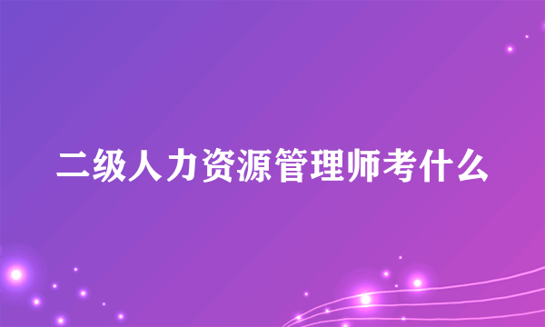 二级人力资源管理师考什么