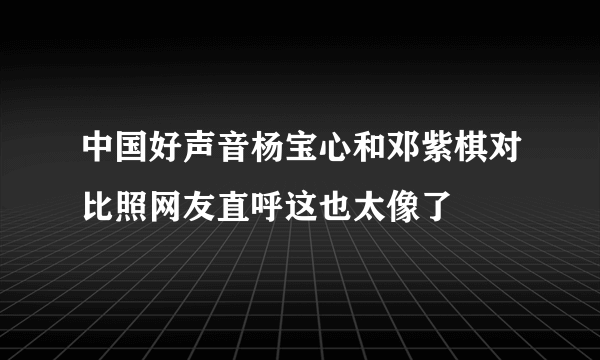 中国好声音杨宝心和邓紫棋对比照网友直呼这也太像了