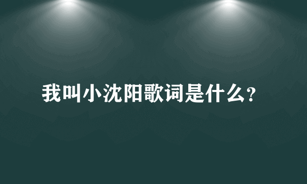 我叫小沈阳歌词是什么？