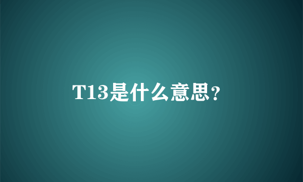 T13是什么意思？