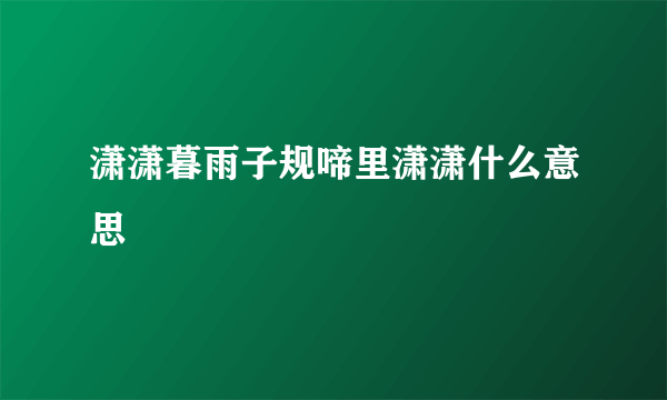 潇潇暮雨子规啼里潇潇什么意思