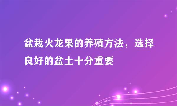 盆栽火龙果的养殖方法，选择良好的盆土十分重要