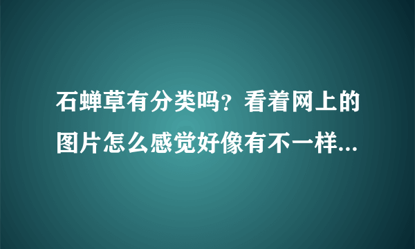 石蝉草有分类吗？看着网上的图片怎么感觉好像有不一样的呢？哪种才是真正的石蝉草呢？