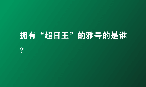 拥有“超日王”的雅号的是谁？