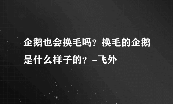 企鹅也会换毛吗？换毛的企鹅是什么样子的？-飞外