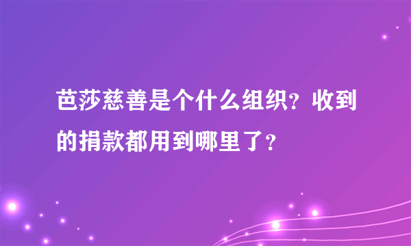 芭莎慈善是个什么组织？收到的捐款都用到哪里了？