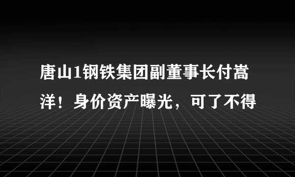 唐山1钢铁集团副董事长付嵩洋！身价资产曝光，可了不得