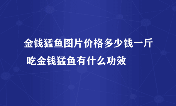 金钱猛鱼图片价格多少钱一斤 吃金钱猛鱼有什么功效