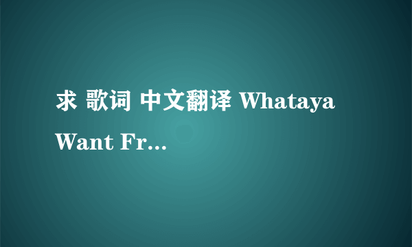 求 歌词 中文翻译 Whataya Want From Me