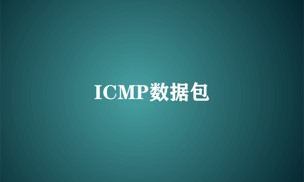 ICMP数据包