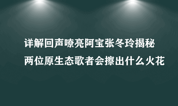 详解回声嘹亮阿宝张冬玲揭秘两位原生态歌者会擦出什么火花