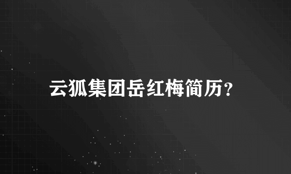 云狐集团岳红梅简历？