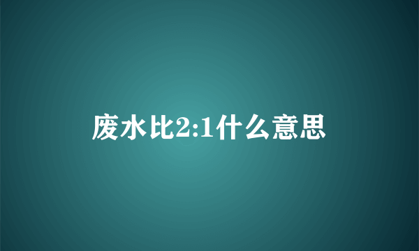 废水比2:1什么意思