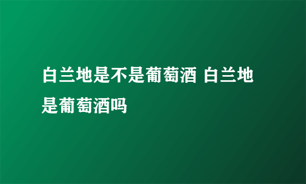 白兰地是不是葡萄酒 白兰地是葡萄酒吗