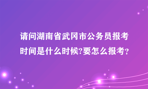 请问湖南省武冈市公务员报考时间是什么时候?要怎么报考？