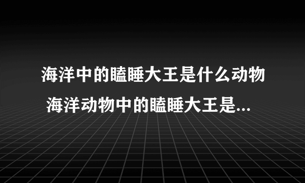 海洋中的瞌睡大王是什么动物 海洋动物中的瞌睡大王是哪种动物