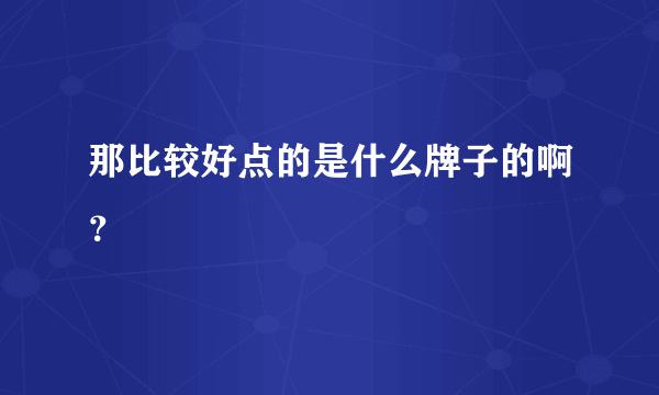 那比较好点的是什么牌子的啊？