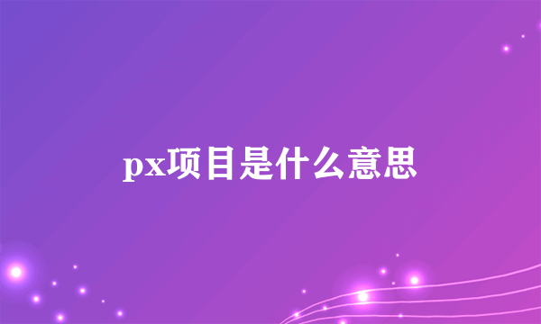 px项目是什么意思