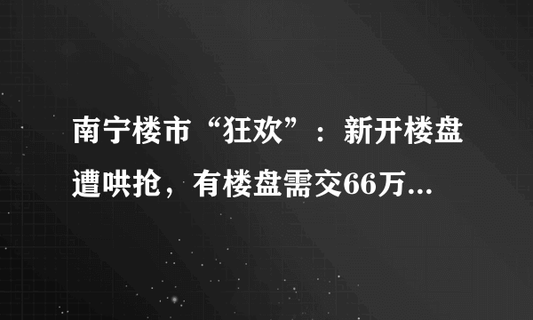 南宁楼市“狂欢”：新开楼盘遭哄抢，有楼盘需交66万“团购费”才能交首付，这笔钱不在合同内也没有收据。你怎么看？