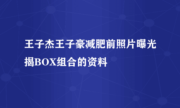 王子杰王子豪减肥前照片曝光揭BOX组合的资料