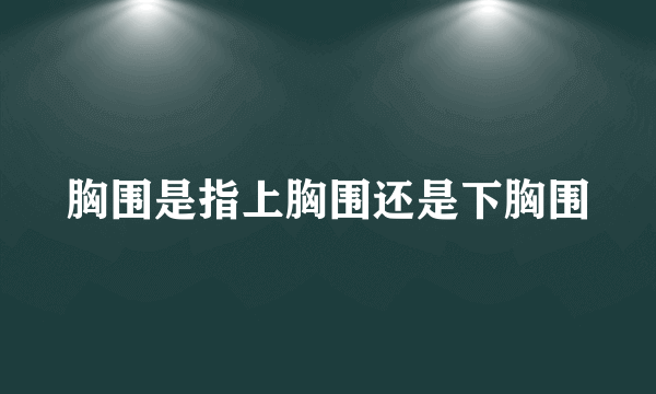 胸围是指上胸围还是下胸围