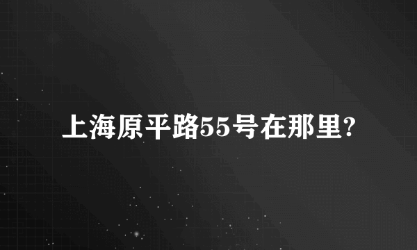 上海原平路55号在那里?