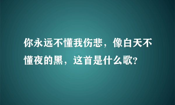 你永远不懂我伤悲，像白天不懂夜的黑，这首是什么歌？