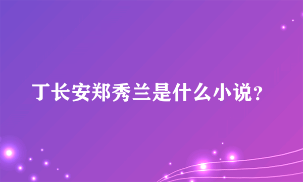 丁长安郑秀兰是什么小说？