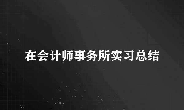 在会计师事务所实习总结