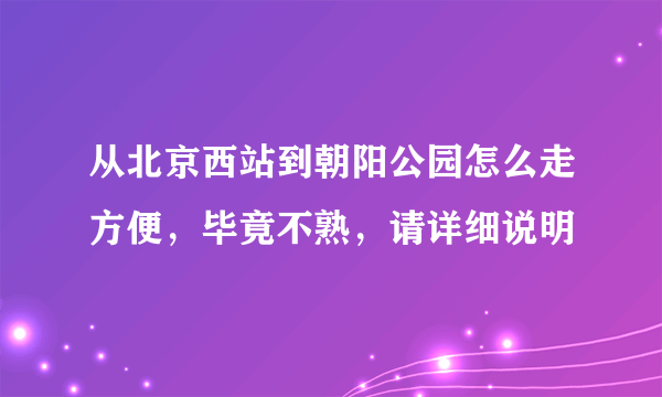 从北京西站到朝阳公园怎么走方便，毕竟不熟，请详细说明