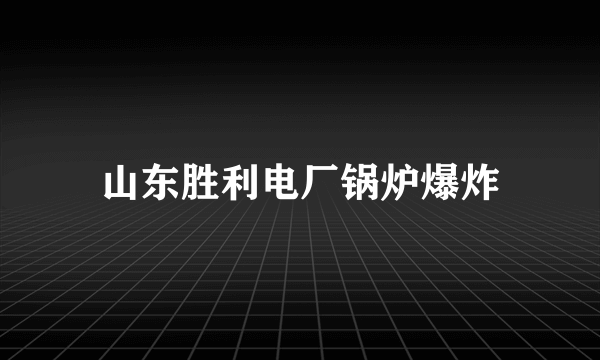 山东胜利电厂锅炉爆炸