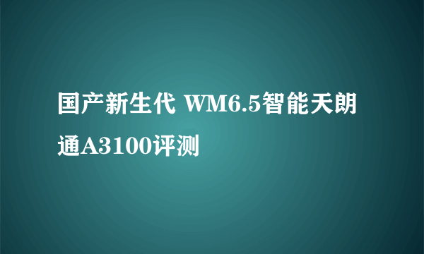 国产新生代 WM6.5智能天朗通A3100评测