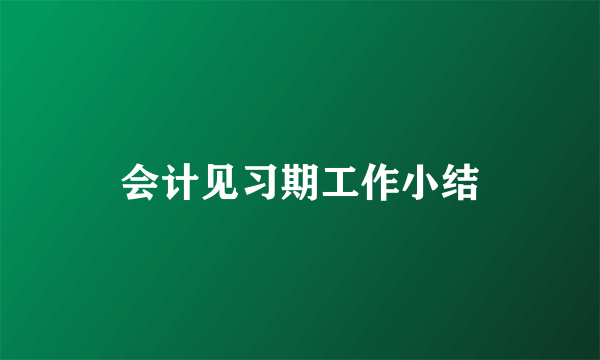 会计见习期工作小结