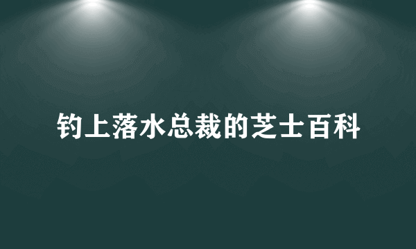 钓上落水总裁的芝士百科