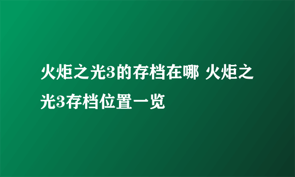 火炬之光3的存档在哪 火炬之光3存档位置一览