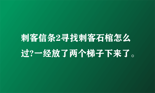 刺客信条2寻找刺客石棺怎么过?一经放了两个梯子下来了。