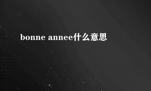 bonne annee什么意思