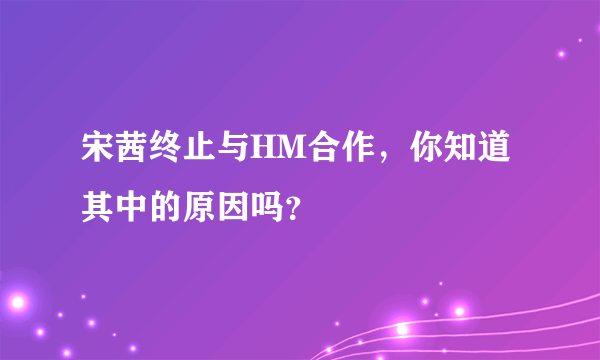 宋茜终止与HM合作，你知道其中的原因吗？