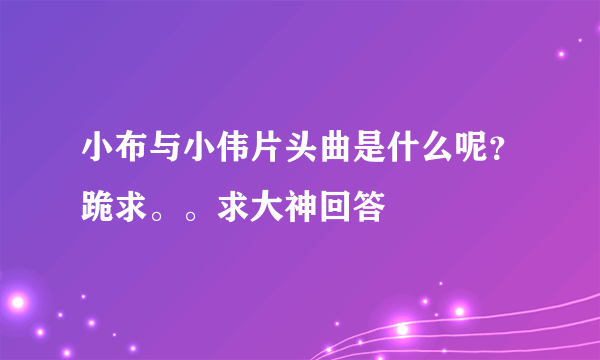 小布与小伟片头曲是什么呢？跪求。。求大神回答