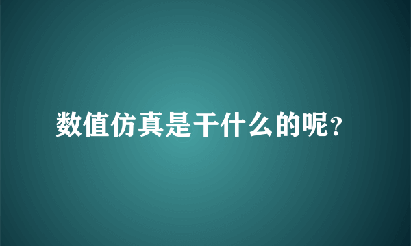 数值仿真是干什么的呢？