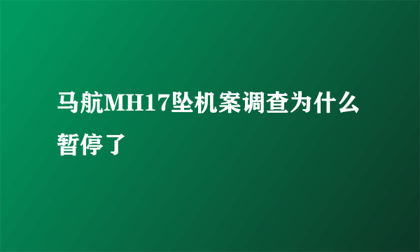 马航MH17坠机案调查为什么暂停了